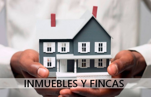 home-image